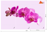 Мраморные обои Орхидеи 142х284 см